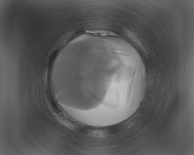 X0000083000163200702230136