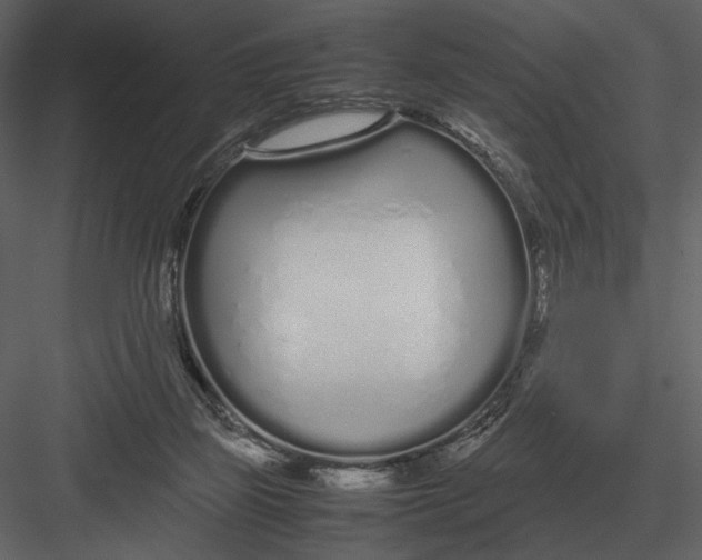 X0000083000165200702230136