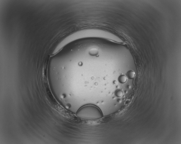 X0000083000166200702230136