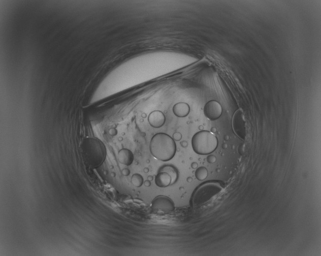 X0000083000167200702230136