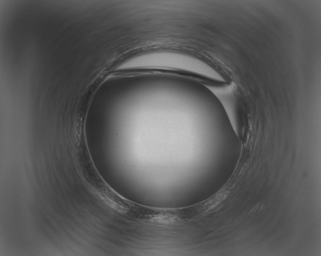 X0000083000168200702230136