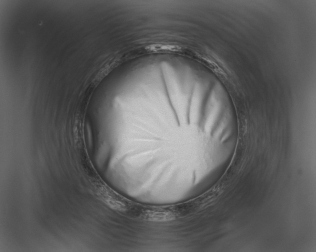 X0000083000169200702230136