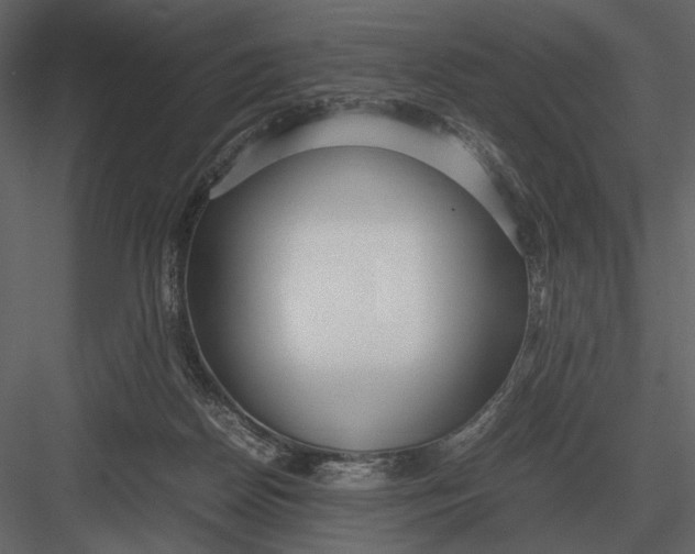 X0000083000170200702230136