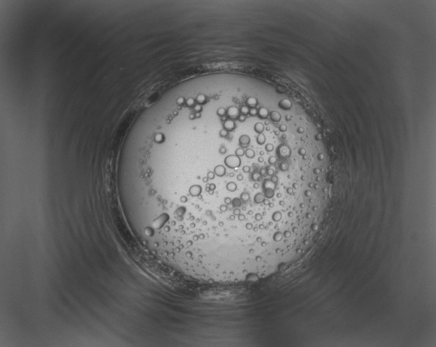 X0000083000171200702230136