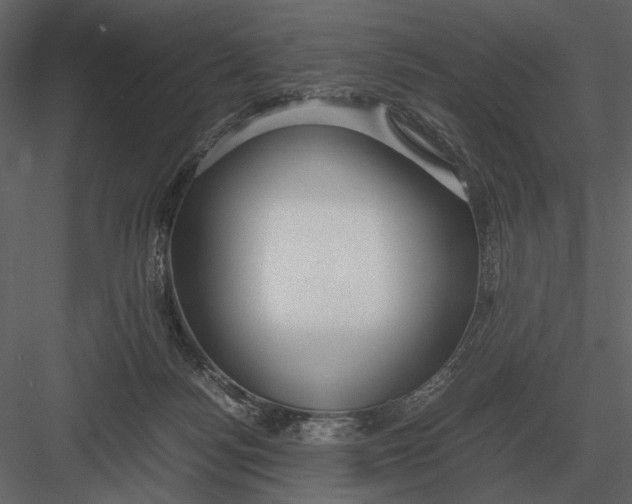 X0000083000172200702230136