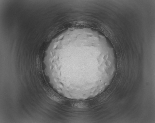 X0000083000173200702230136