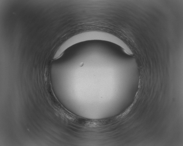 X0000083000174200702230136