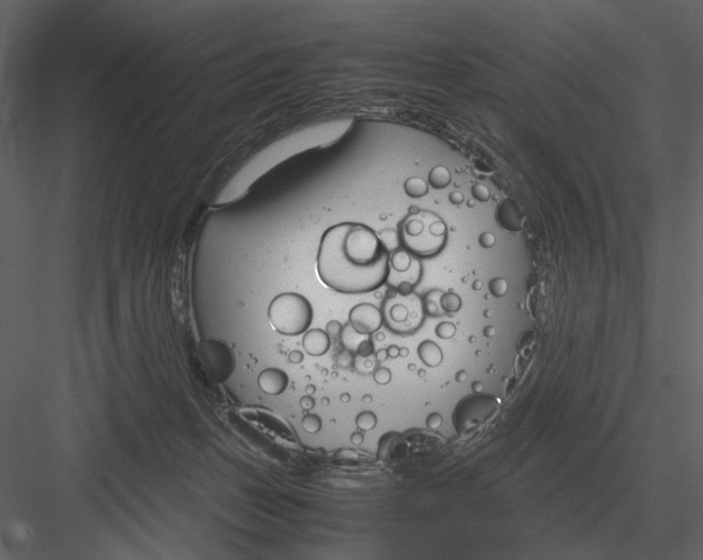 X0000083000175200702230136