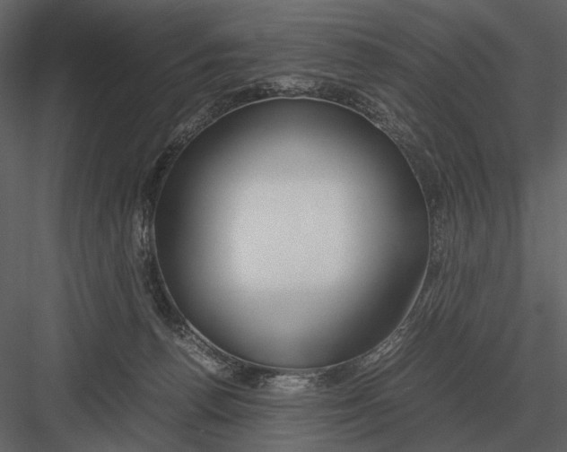 X0000083000176200702230136