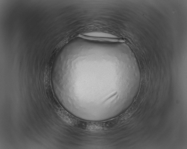 X0000083000177200702230136