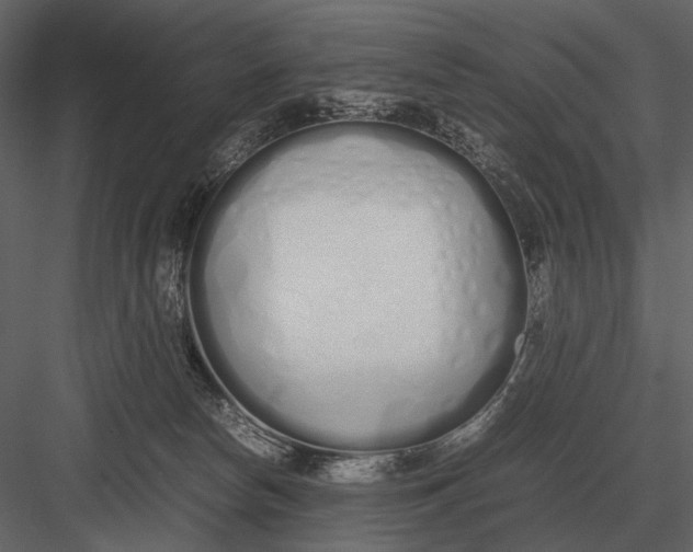 X0000083000178200702230136