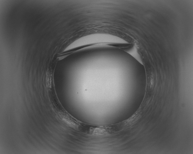 X0000083000180200702230136