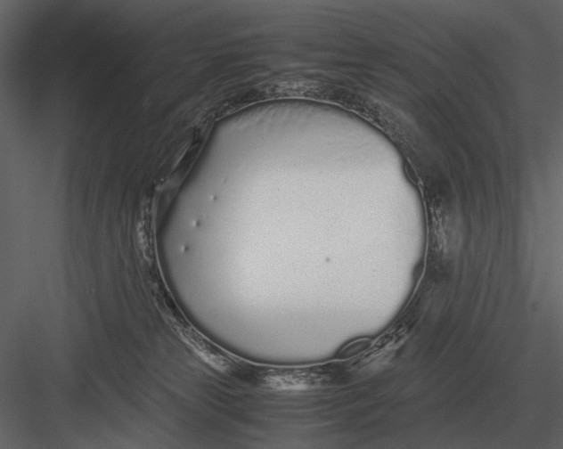 X0000083000181200702230136