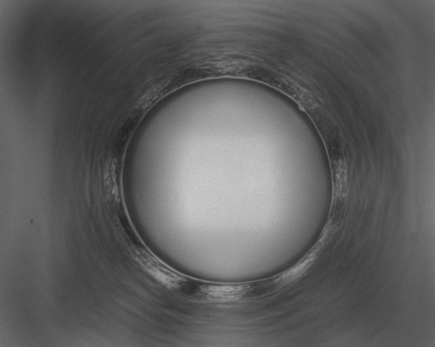 X0000083000182200702230136