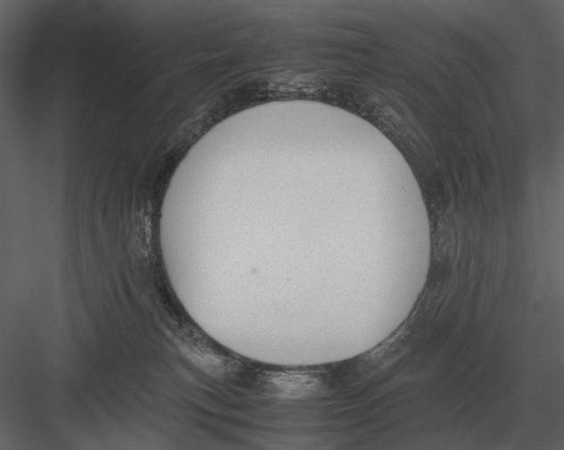 X0000083000183200702230136