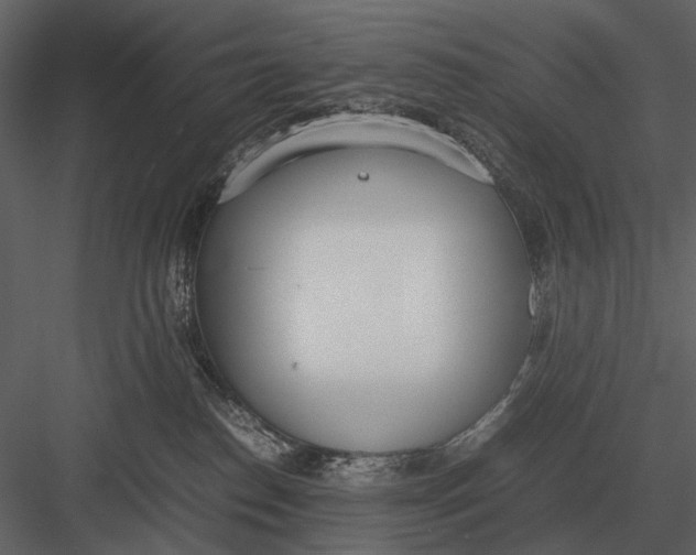 X0000083000186200702230136