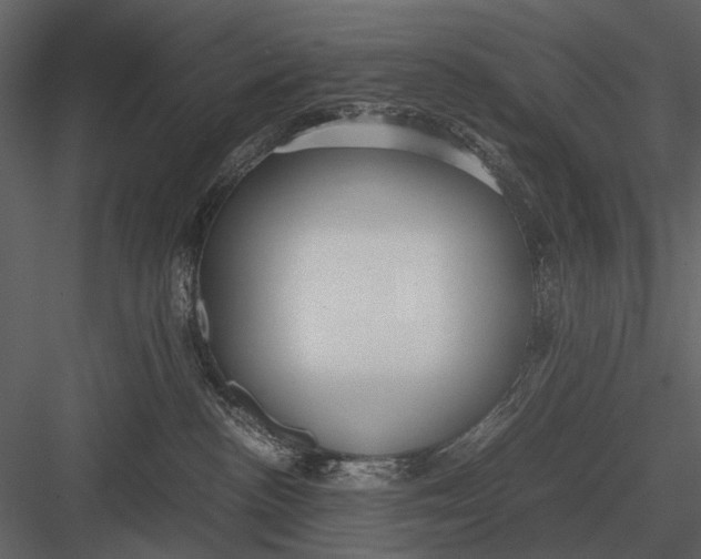 X0000083000188200702230136