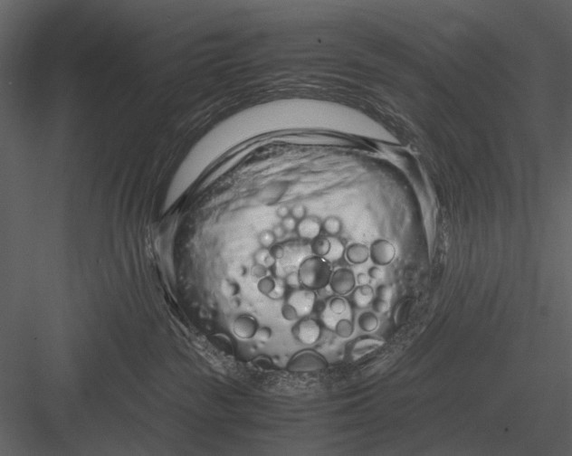 X0000083000189200702230136