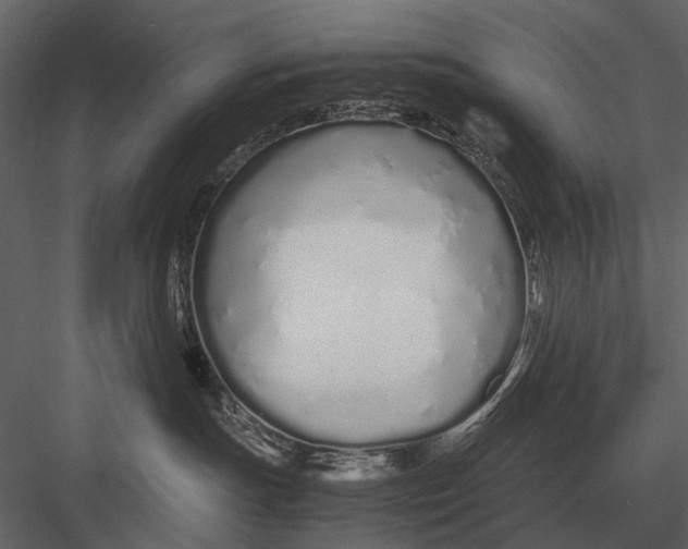 X0000083000191200702230136