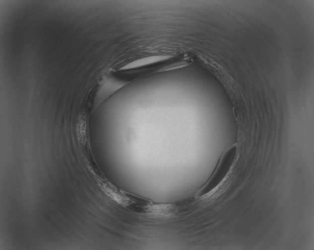 X0000083000192200702230136