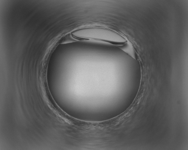 X0000083000193200702230136