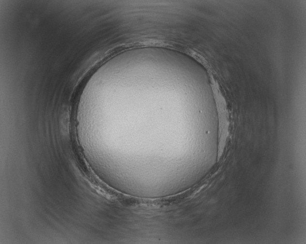 X0000083000194200702230136