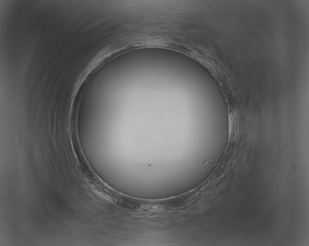 X0000083000195200702230135