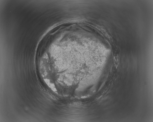 X0000083000196200702230135