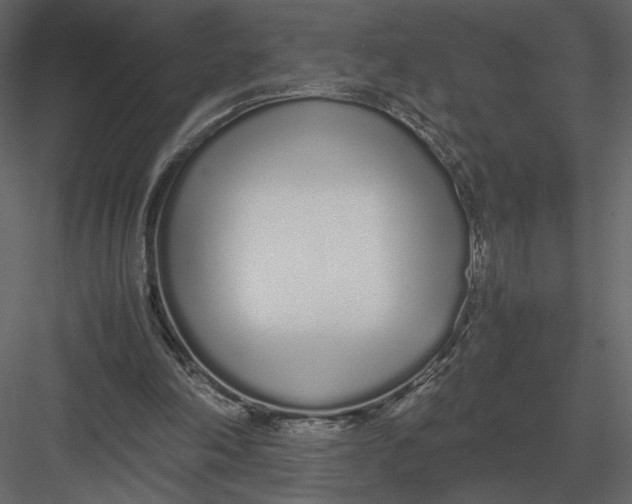 X0000083000198200702230135