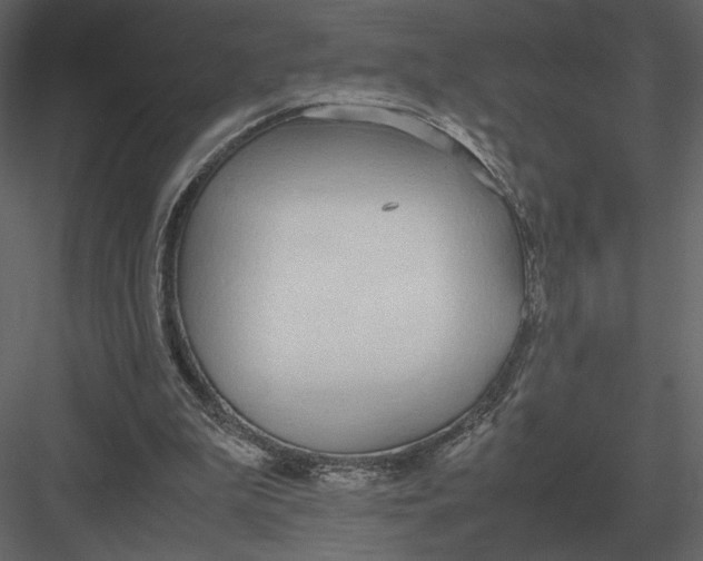 X0000083000199200702230135