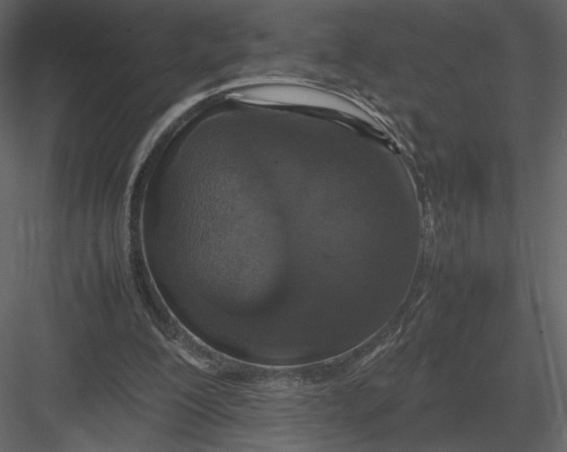 X0000083000200200702230135