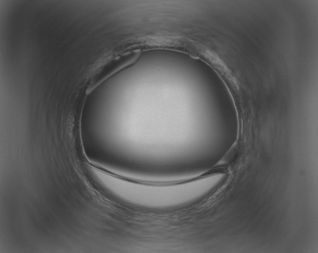 X0000083000201200702230135