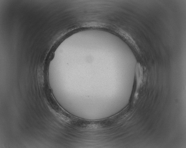 X0000083000204200702230135