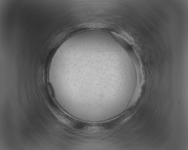 X0000083000205200702230135