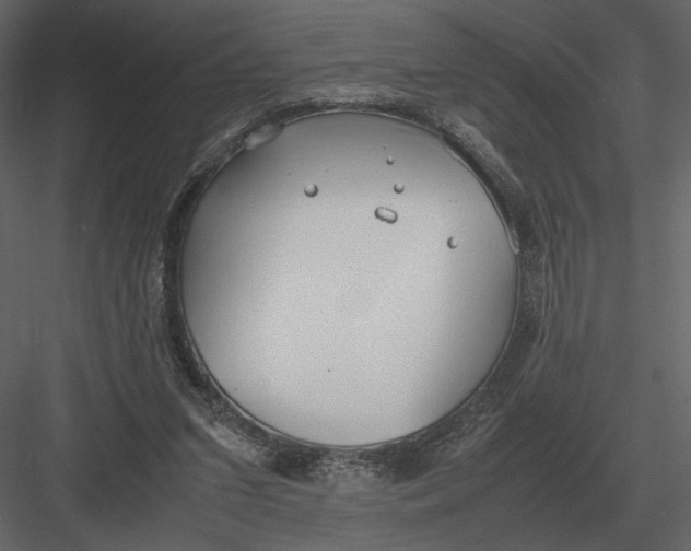 X0000083000207200702230135