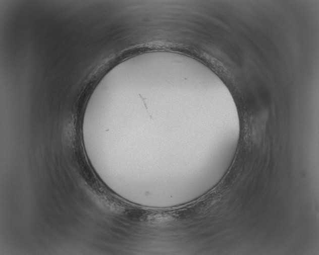 X0000083000208200702230135