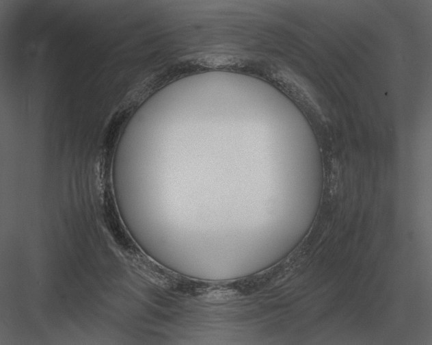 X0000083000210200702230135