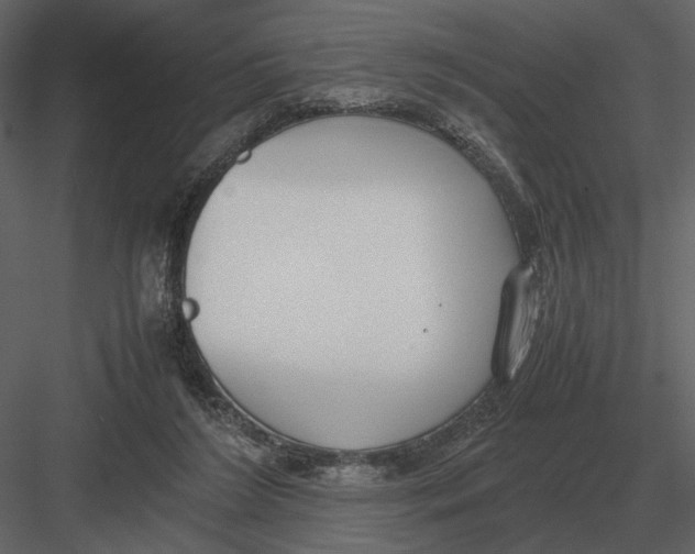 X0000083000212200702230135