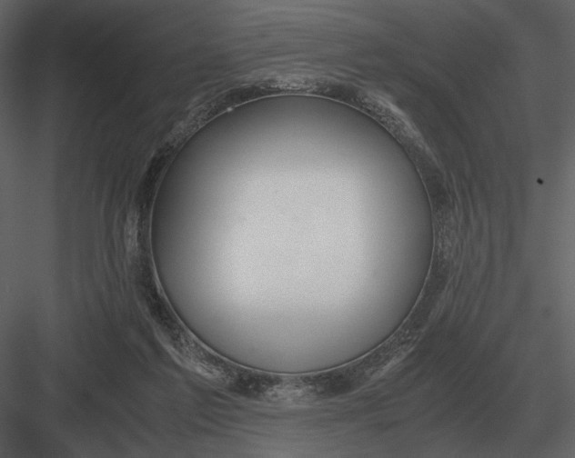 X0000083000213200702230135