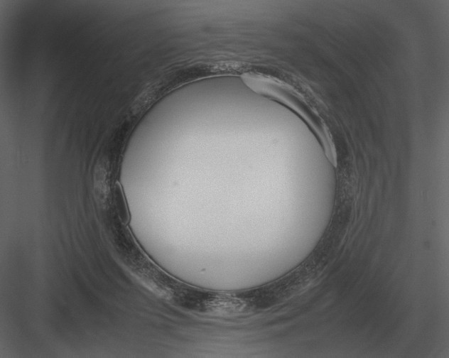 X0000083000215200702230135