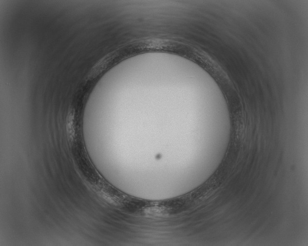 X0000083000216200702230135