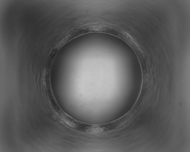 X0000083000217200702230135