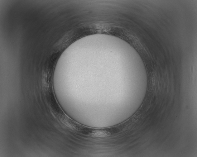 X0000083000218200702230135