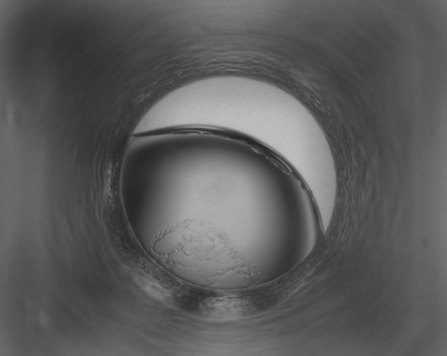 X0000083000219200702230135