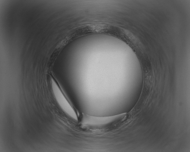 X0000083000221200702230135