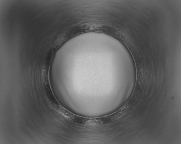 X0000083000222200702230135