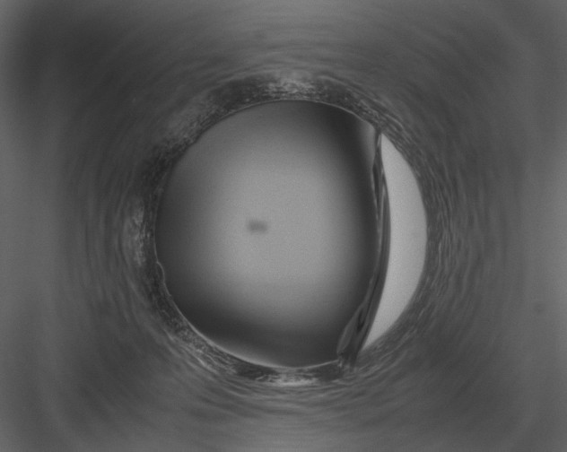 X0000083000223200702230135