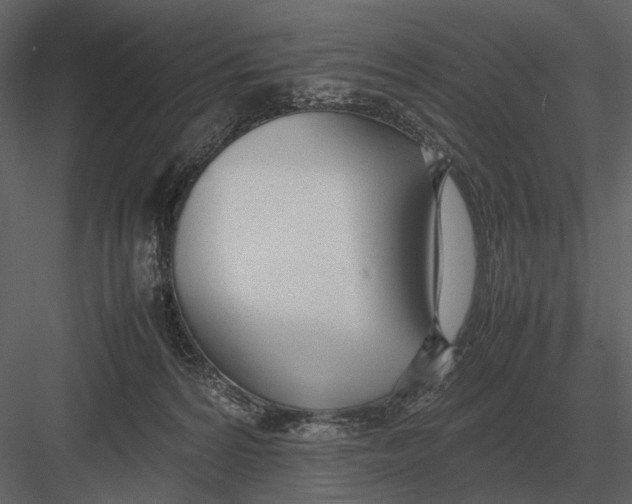 X0000083000224200702230135