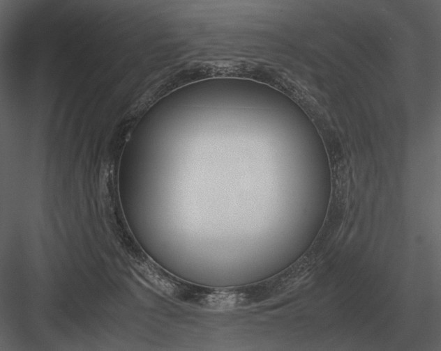 X0000083000225200702230135