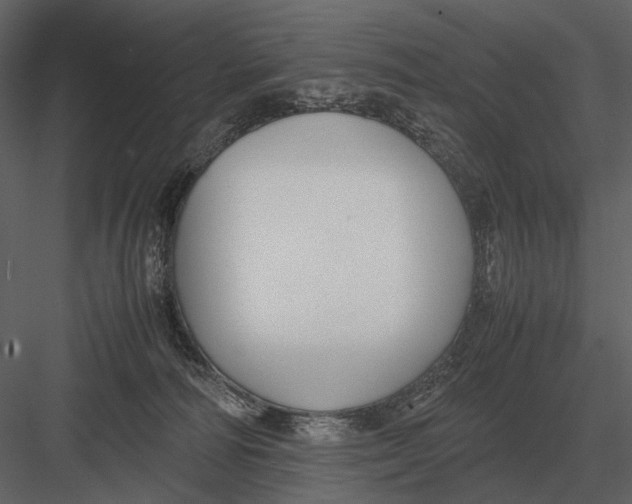 X0000083000226200702230135